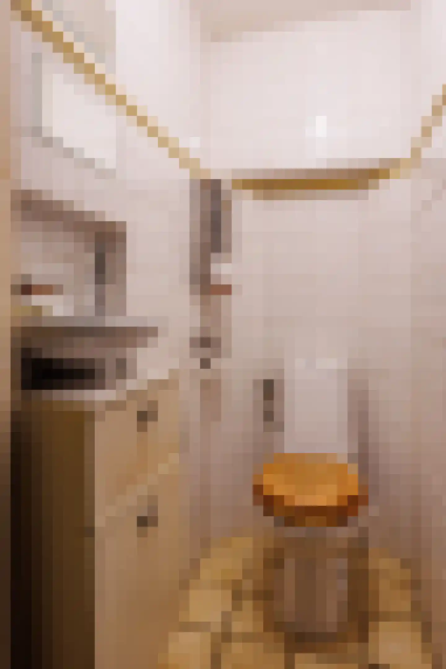 Spitsestraat 1 Appeltern thumbnail 28
