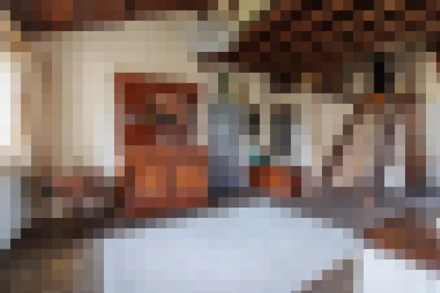 Spitsestraat 1 Appeltern thumbnail 30