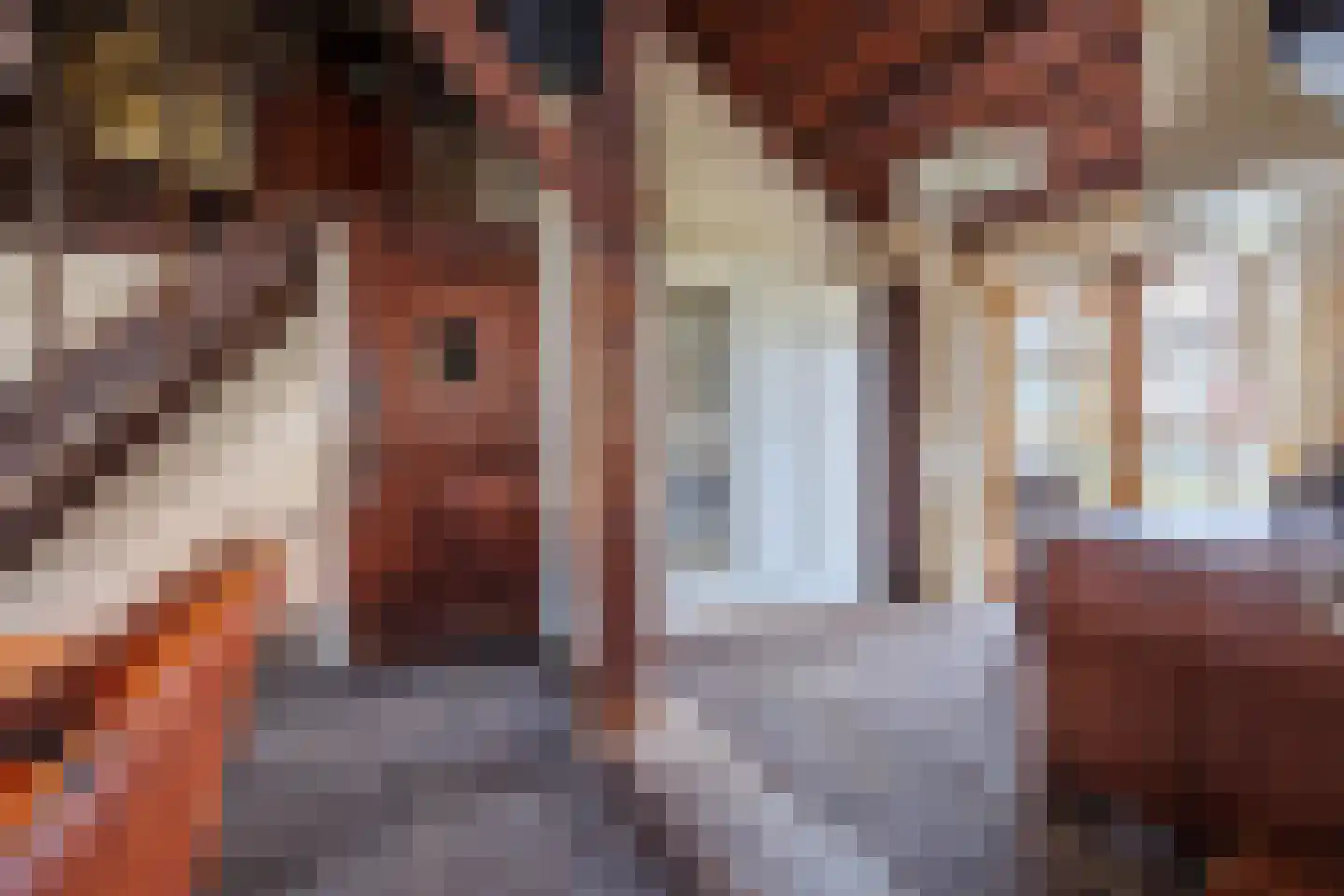 Spitsestraat 1 Appeltern thumbnail 42