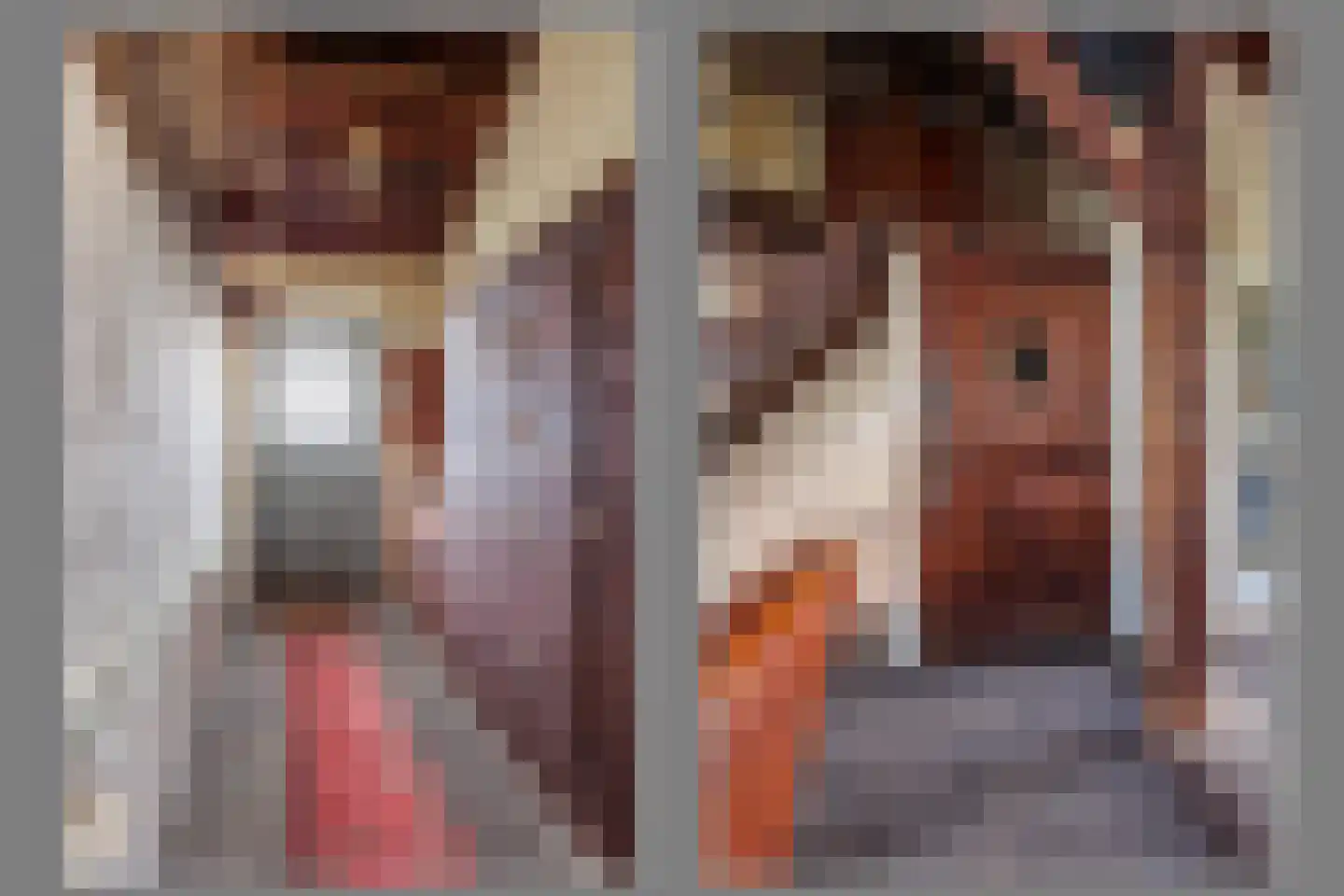 Spitsestraat 1 Appeltern thumbnail 44