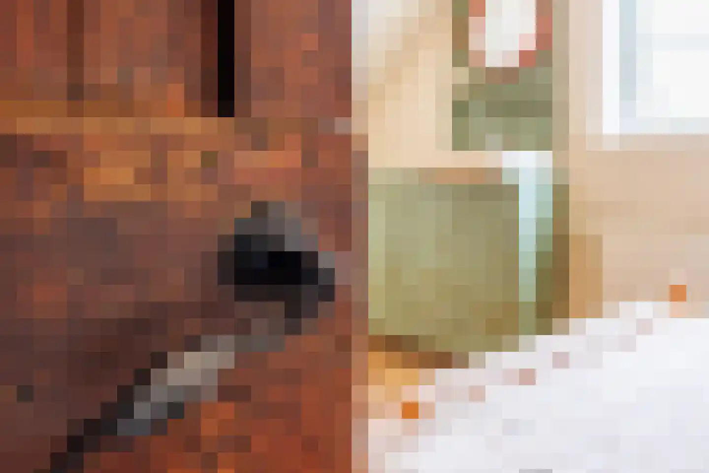 Spitsestraat 1 Appeltern thumbnail 49
