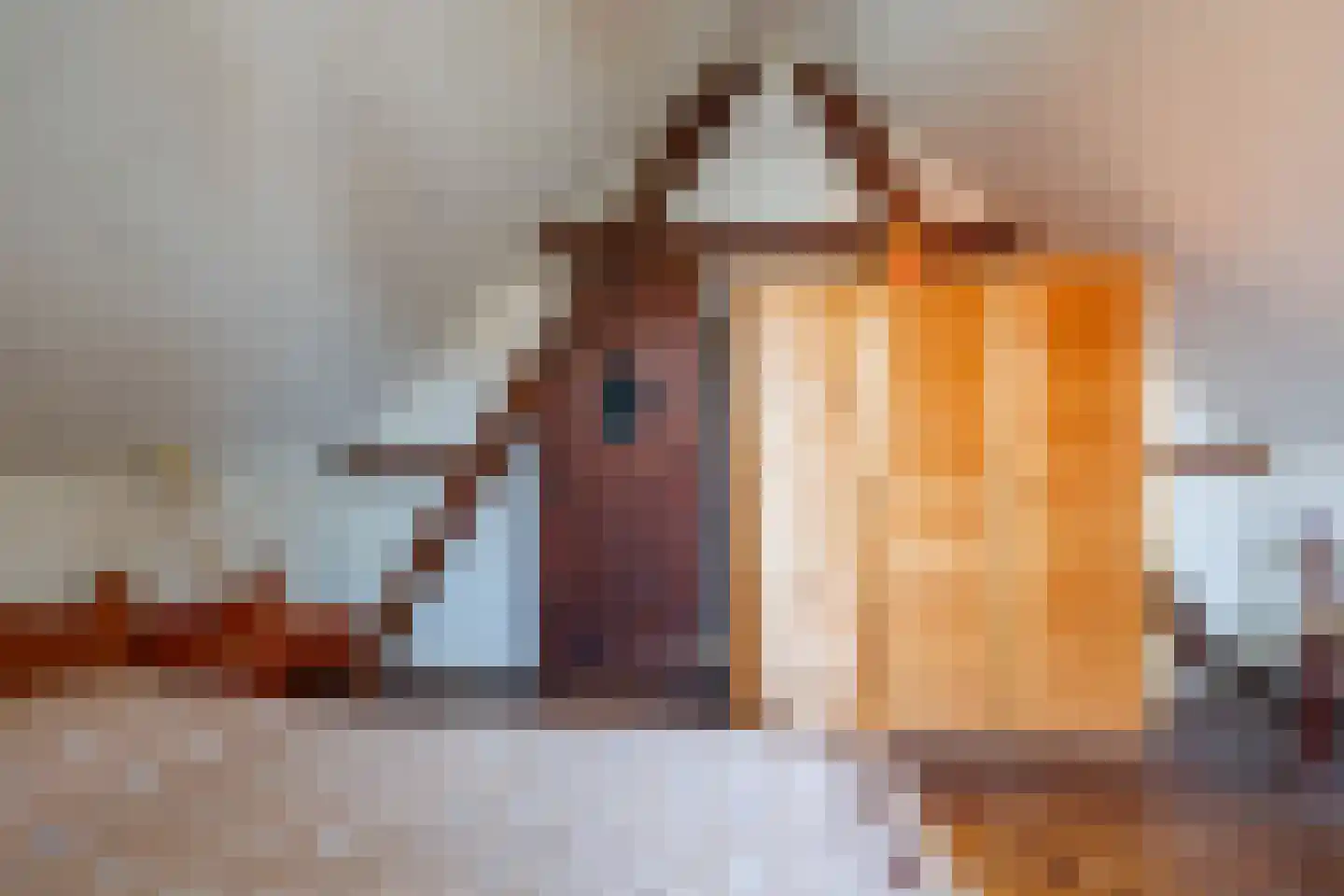 Spitsestraat 1 Appeltern thumbnail 53