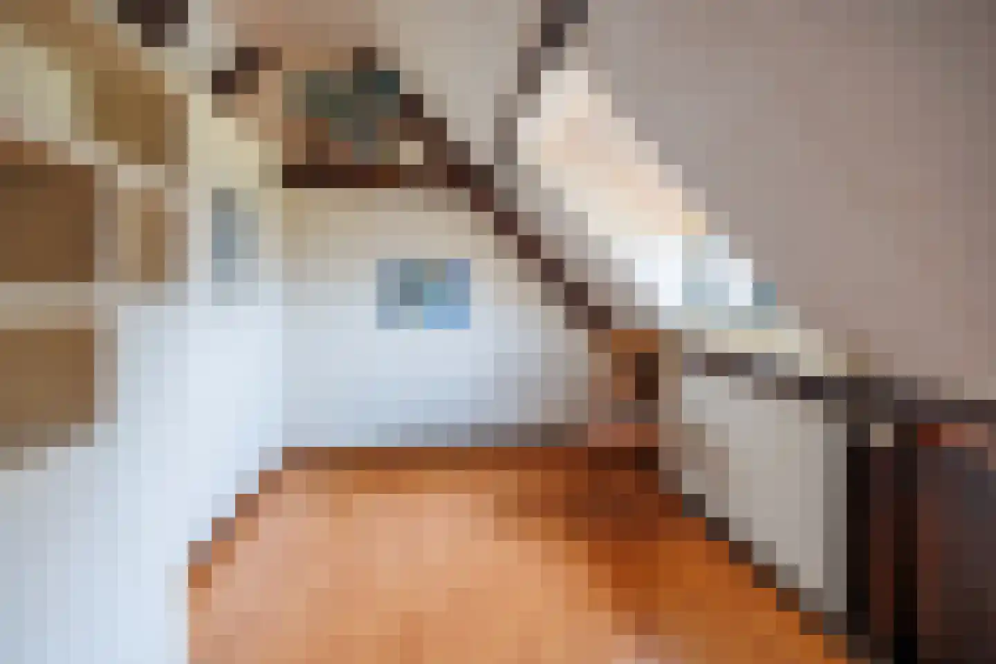 Spitsestraat 1 Appeltern thumbnail 56