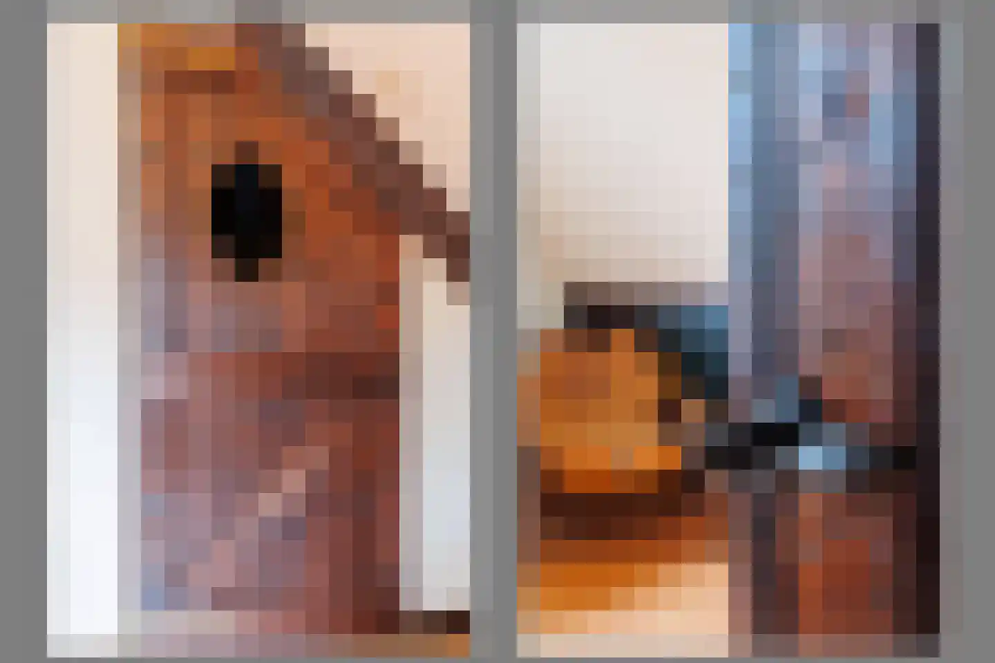 Spitsestraat 1 Appeltern thumbnail 57