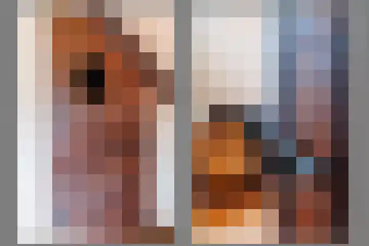 Spitsestraat 1 Appeltern thumbnail 57