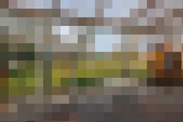 Spitsestraat 1 Appeltern thumbnail 61