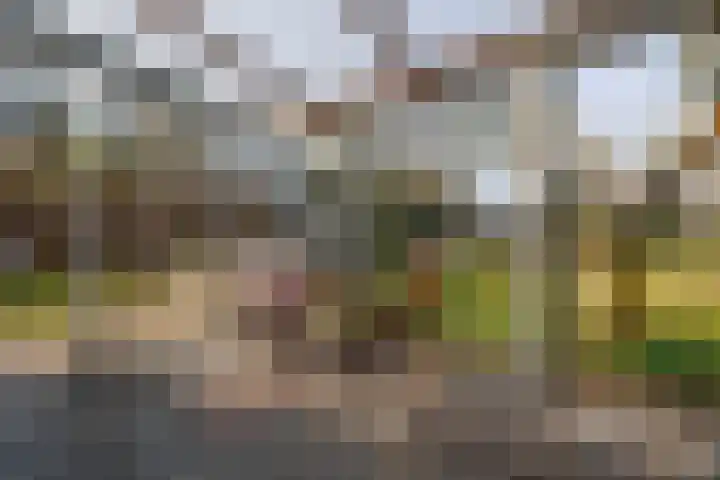 Spitsestraat 1 Appeltern thumbnail 62