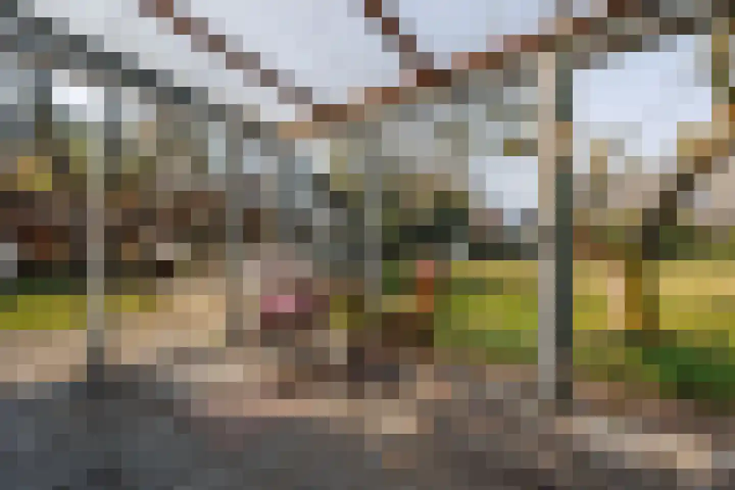 Spitsestraat 1 Appeltern thumbnail 62