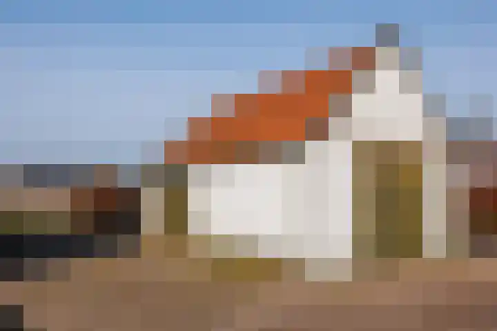 Spitsestraat 1 Appeltern thumbnail 65