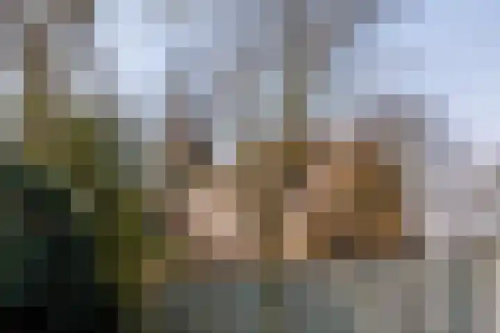 Spitsestraat 1 Appeltern thumbnail 73