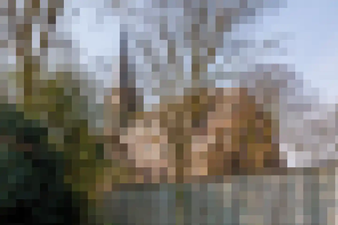 Spitsestraat 1 Appeltern thumbnail 73