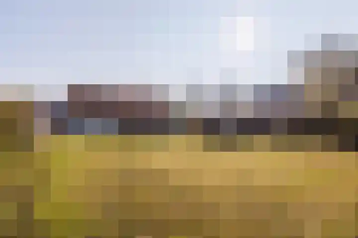 Spitsestraat 1 Appeltern thumbnail 75