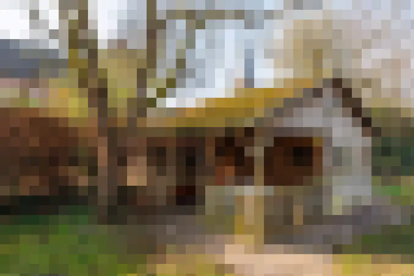 Spitsestraat 1 Appeltern thumbnail 76