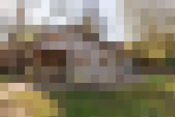 Spitsestraat 1 Appeltern thumbnail 78
