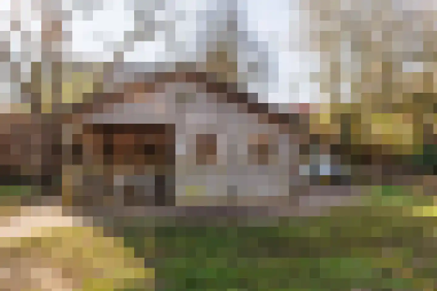 Spitsestraat 1 Appeltern thumbnail 78