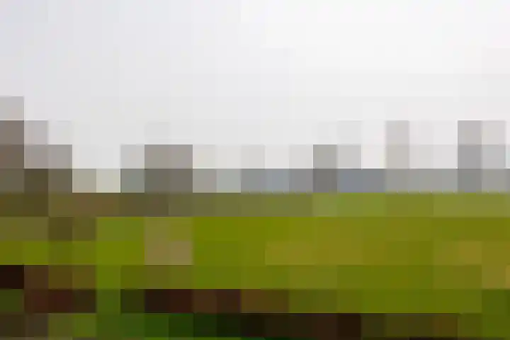 Spitsestraat 1 Appeltern thumbnail 81