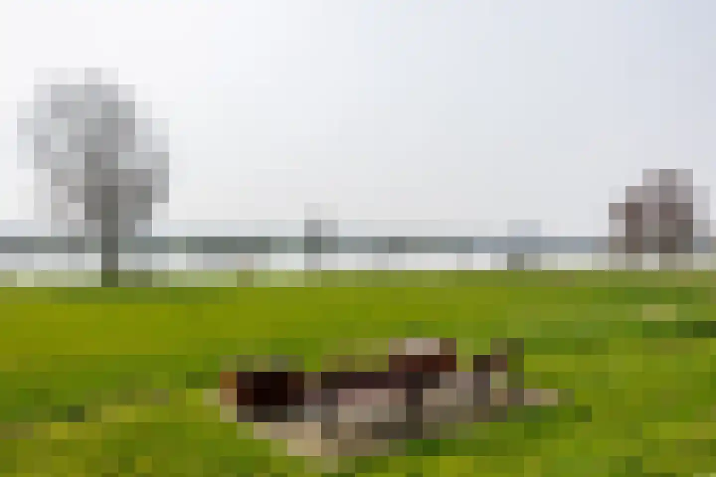 Spitsestraat 1 Appeltern thumbnail 82