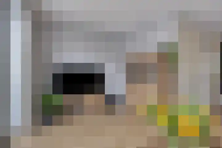 Spitsmuisstraat 69 Helmond thumbnail 13