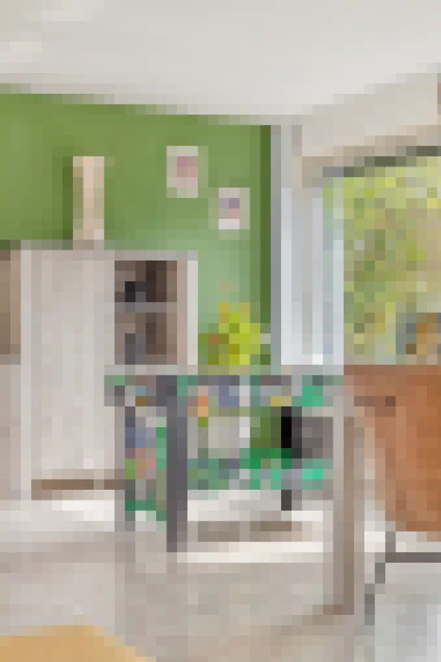 Spitsstraat 8 Maasbracht thumbnail 12