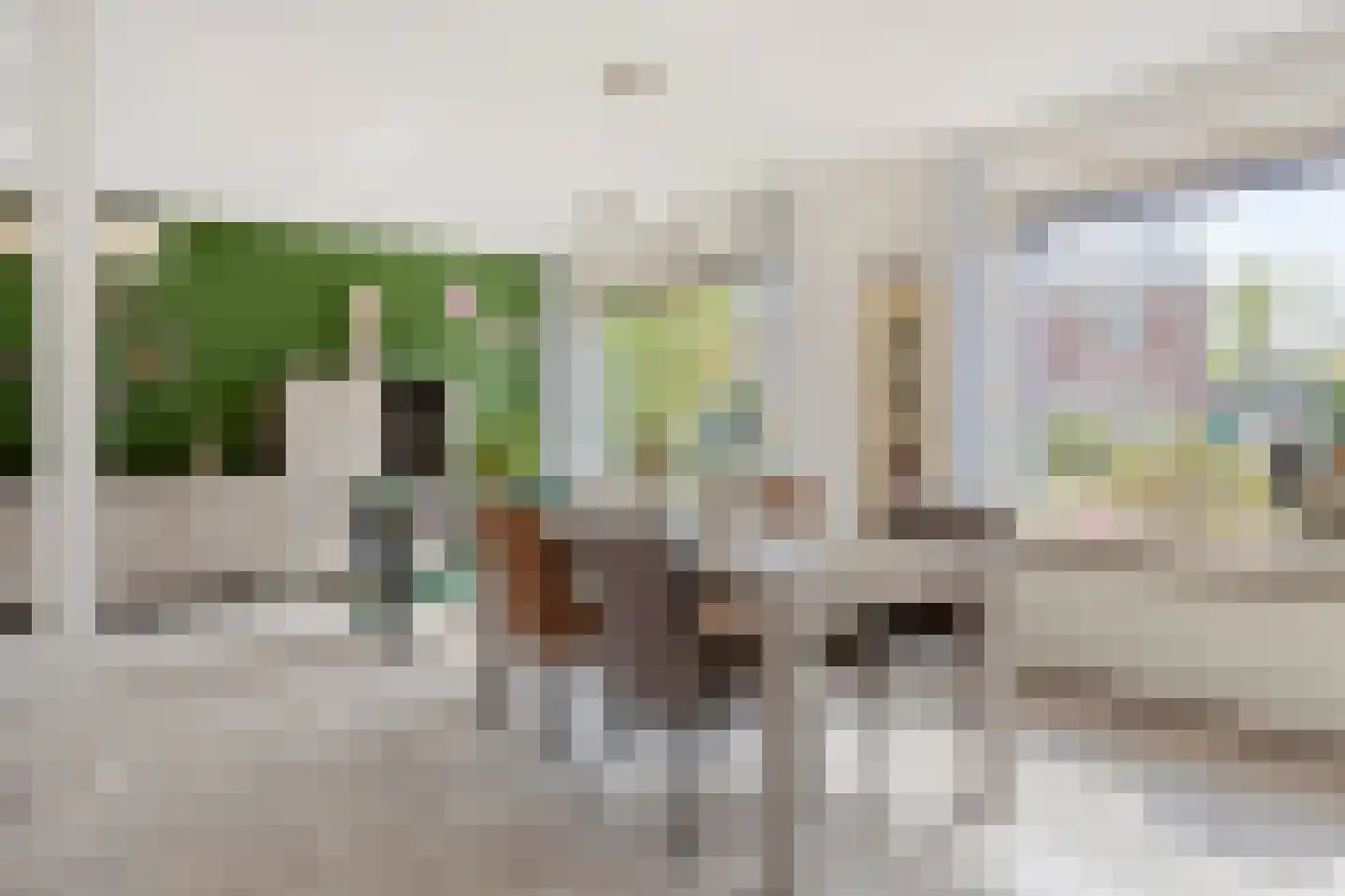 Spitsstraat 8 Maasbracht thumbnail 15