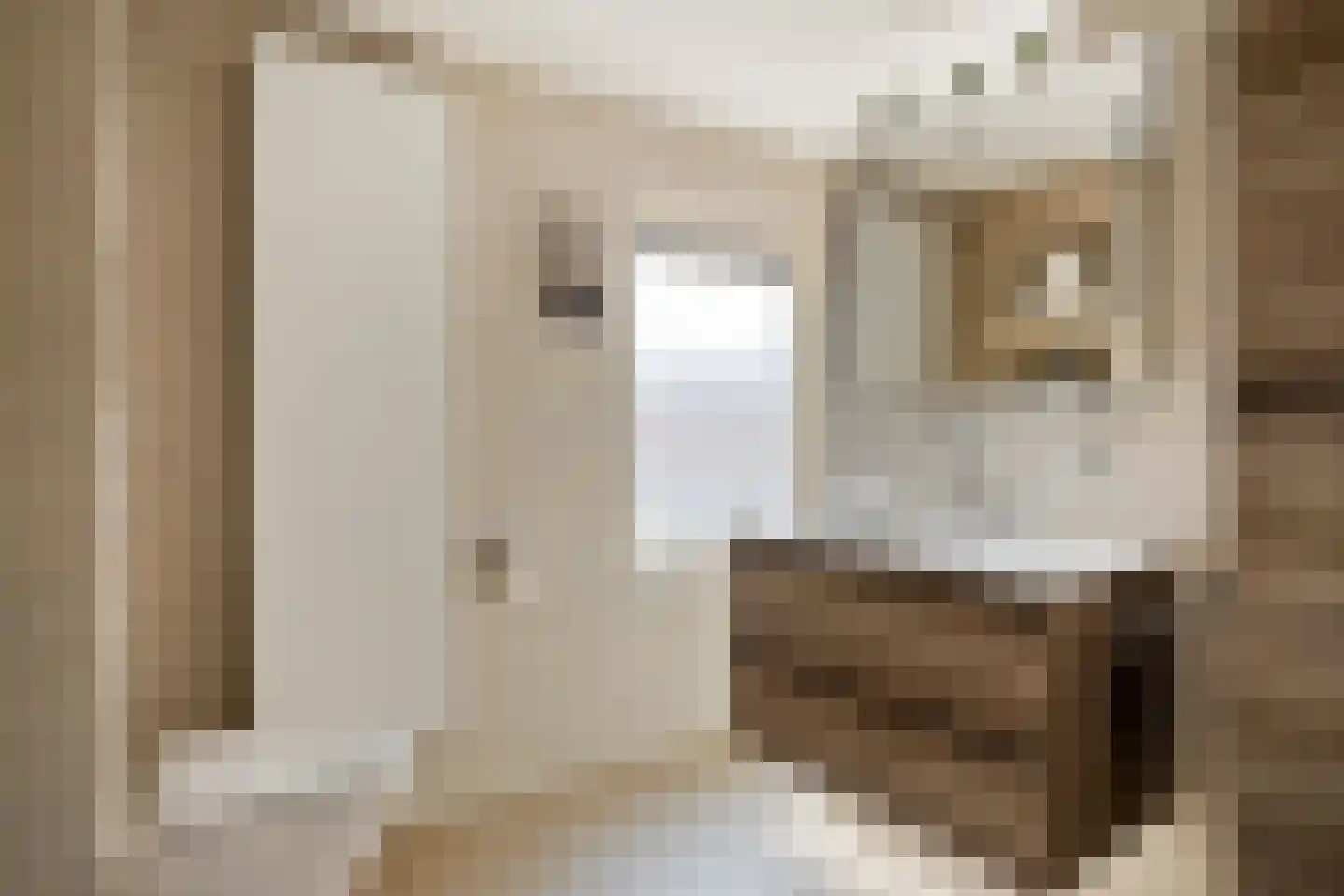 Spitsstraat 8 Maasbracht thumbnail 25