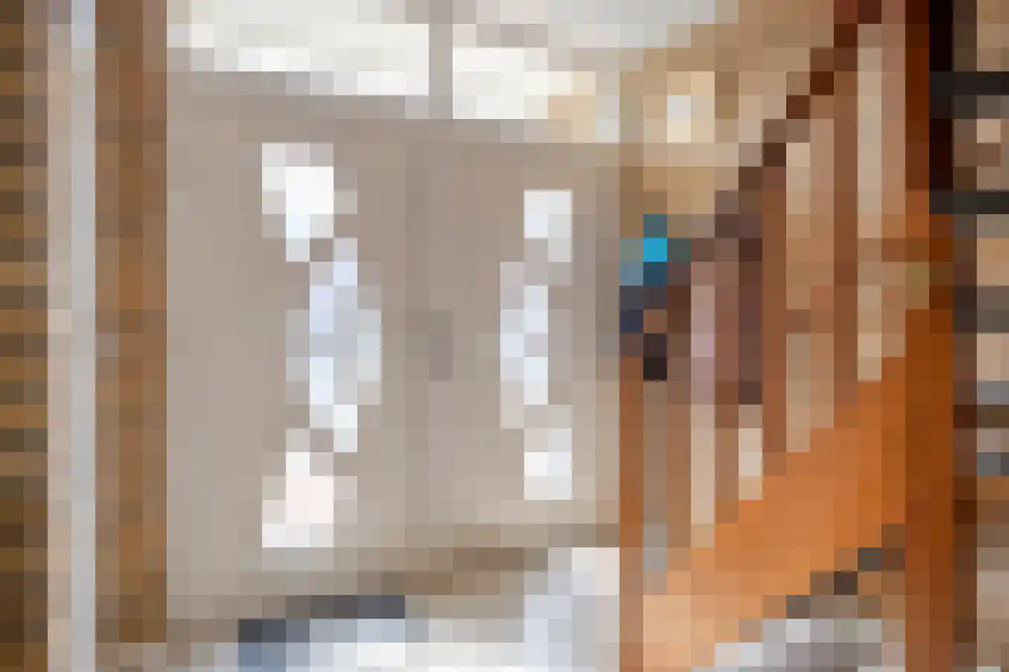 Spitsstraat 8 Maasbracht thumbnail 6