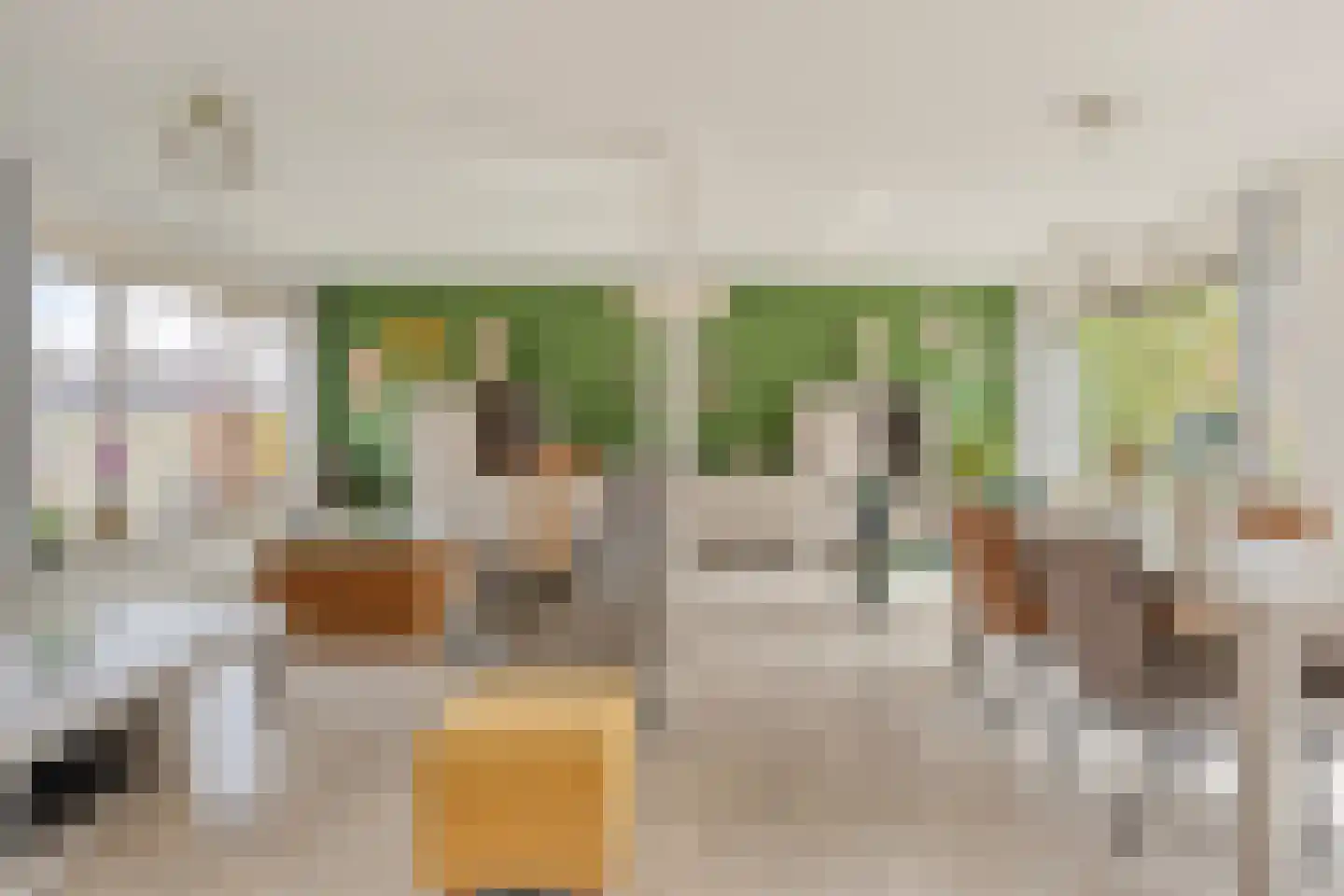 Spitsstraat 8 Maasbracht thumbnail 8