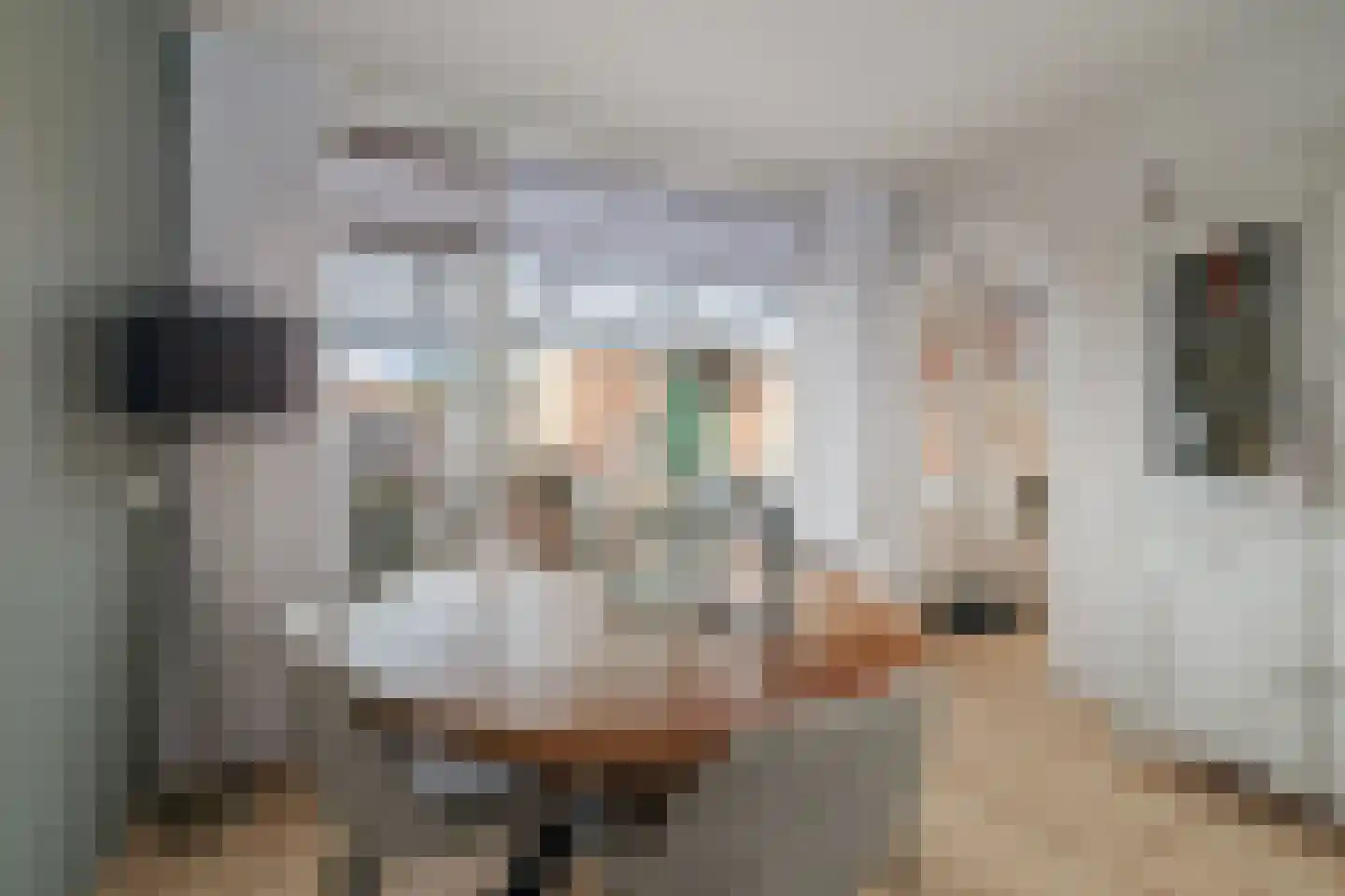 Spittaalderkamp 71 Zutphen thumbnail 10