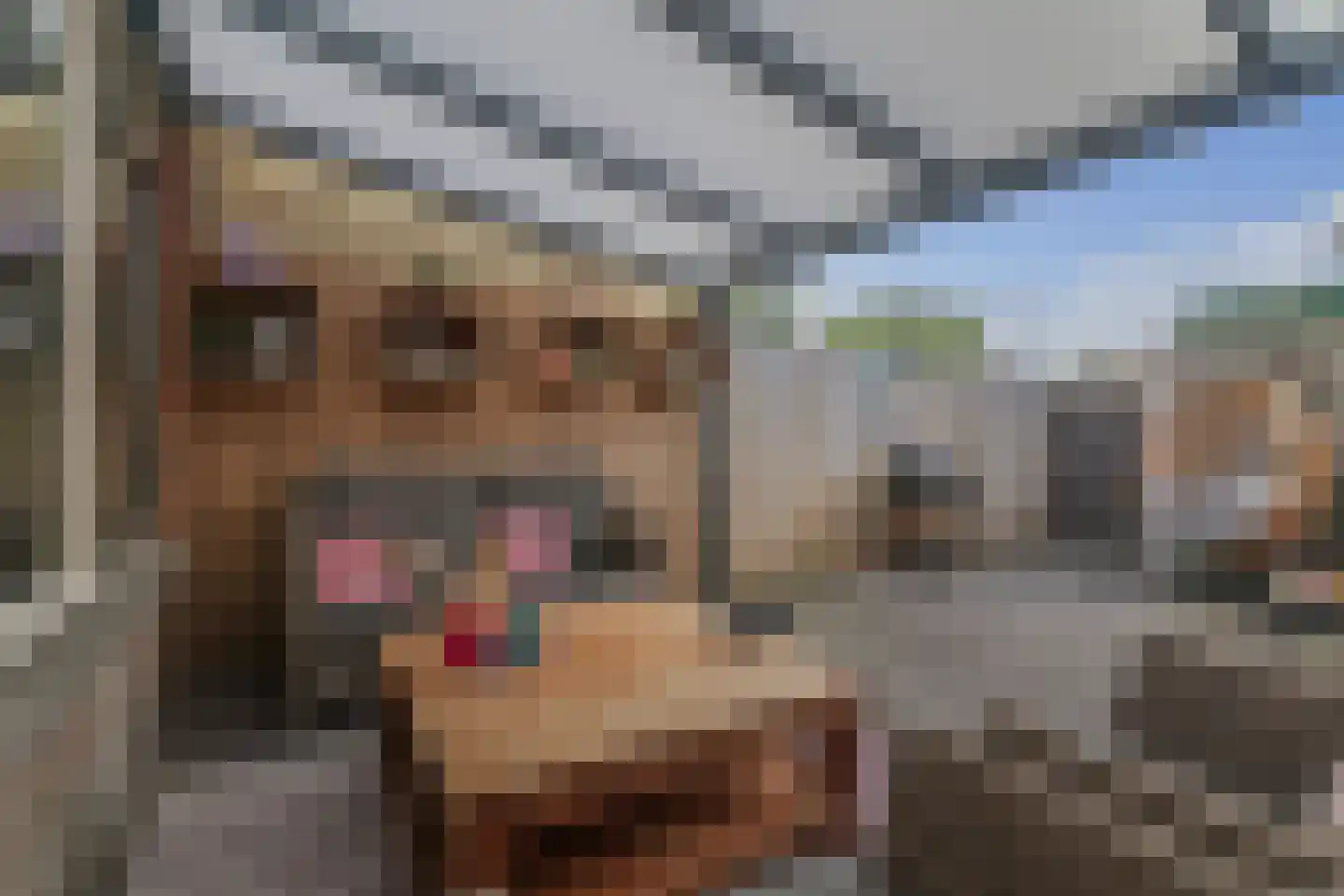 Spittaalderkamp 71 Zutphen thumbnail 19