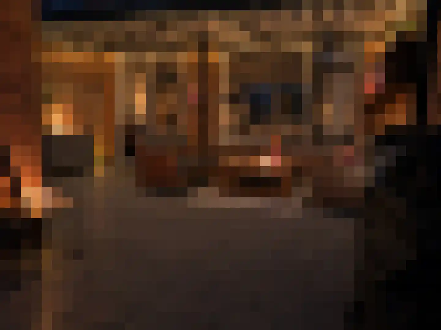 Spittaalderkamp 71 Zutphen thumbnail 21