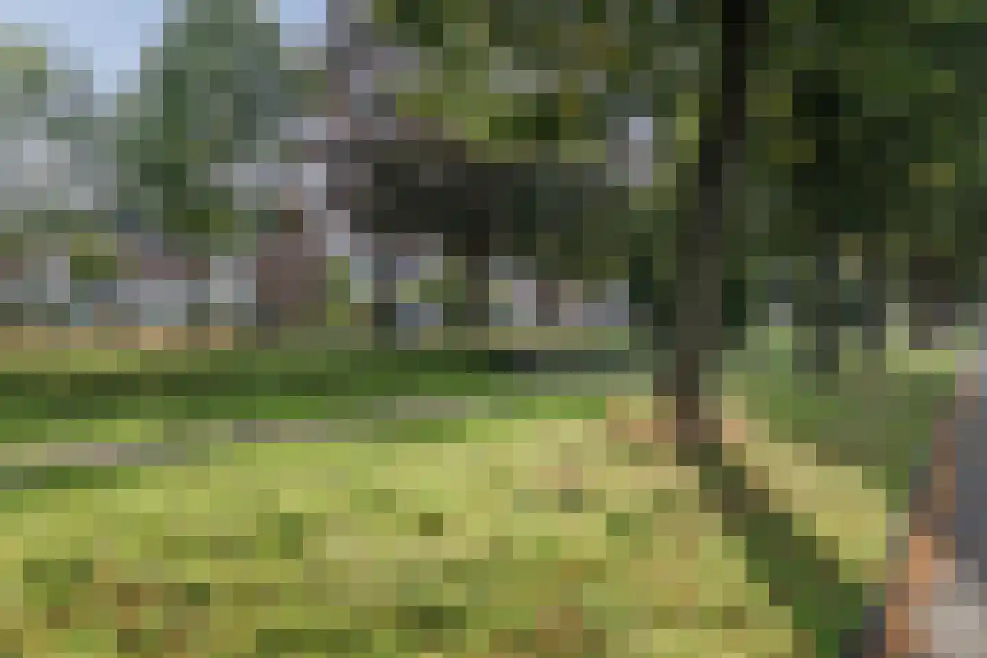 Spittaalderkamp 71 Zutphen thumbnail 4