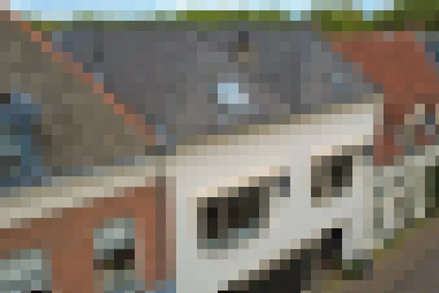 Spittaalstraat 61 a Zutphen thumbnail 34