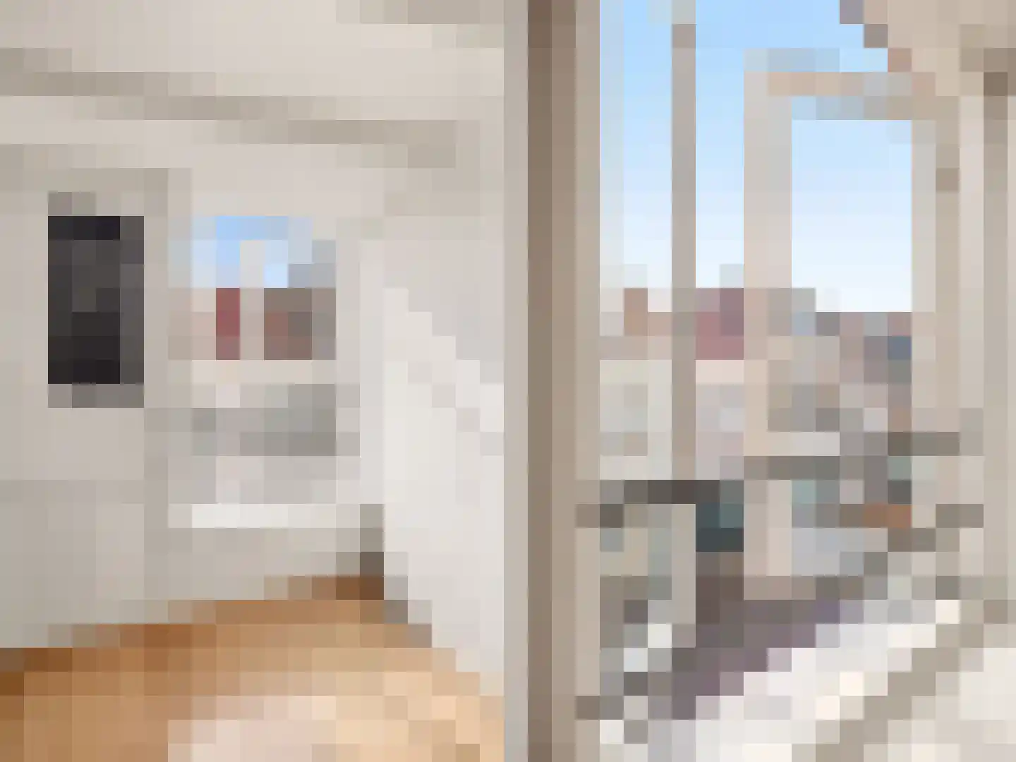 Spittaalstraat 89 b Zutphen thumbnail 10