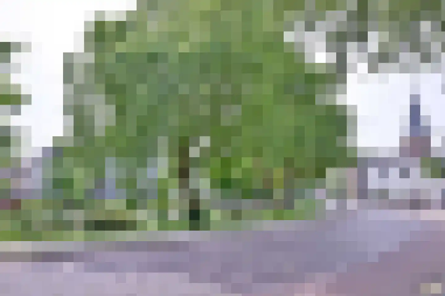 Spittaalstraat 9 a Zutphen thumbnail 67