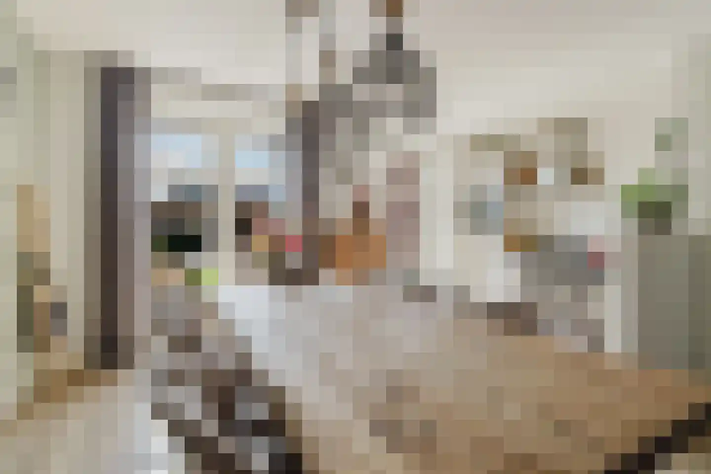 Spitter 16 Zundert thumbnail 12