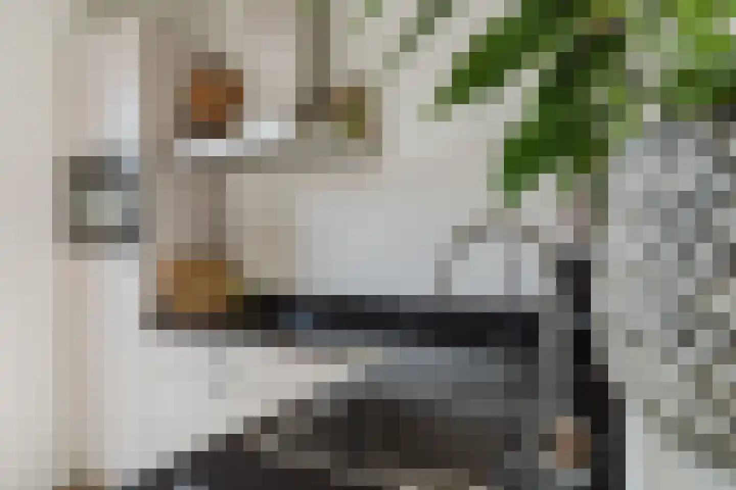 Spitter 16 Zundert thumbnail 13