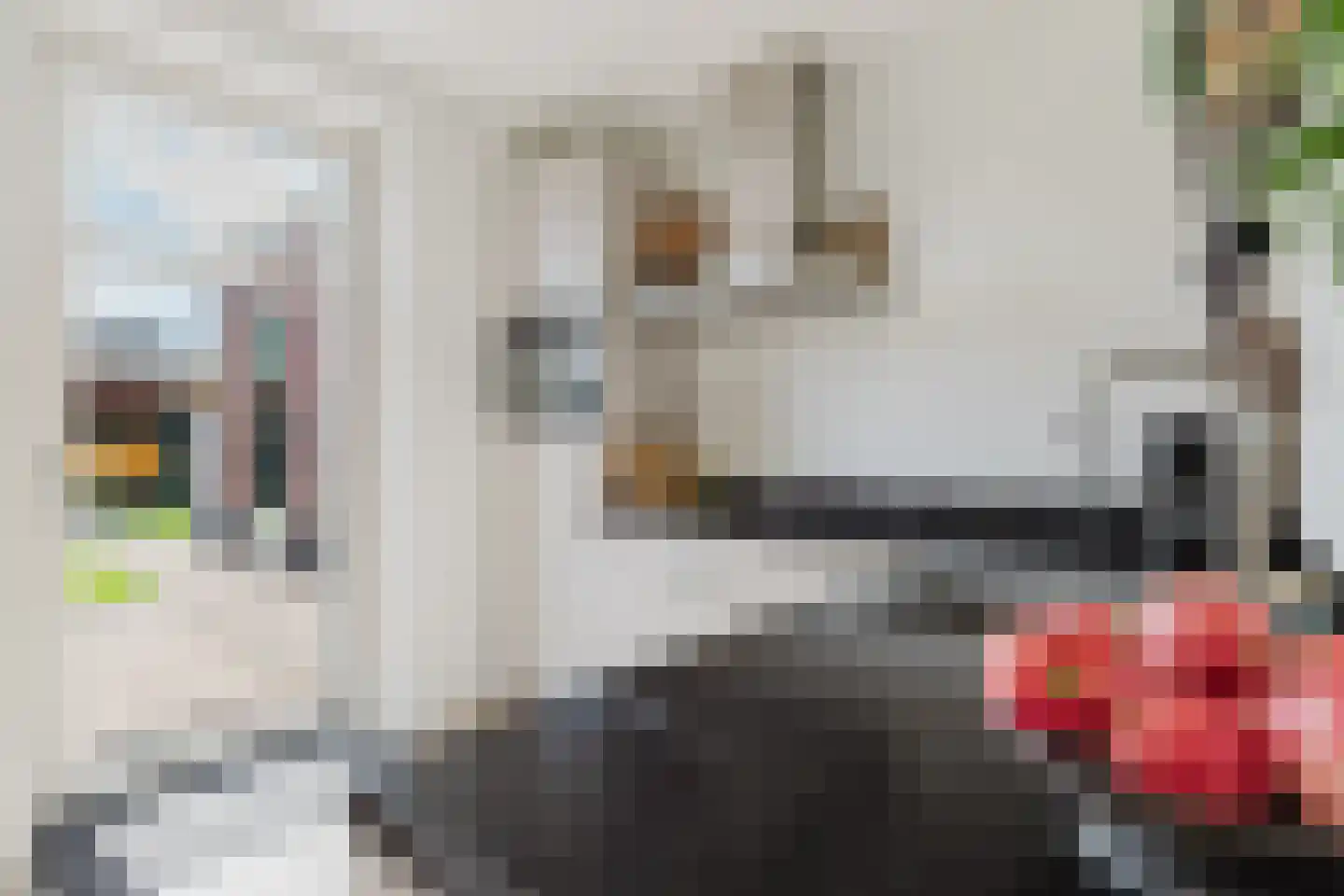 Spitter 16 Zundert thumbnail 14