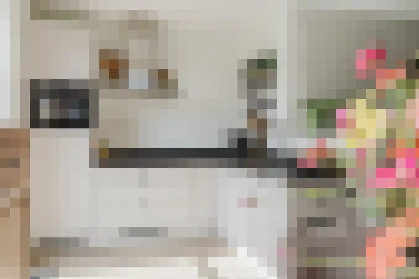 Spitter 16 Zundert thumbnail 16