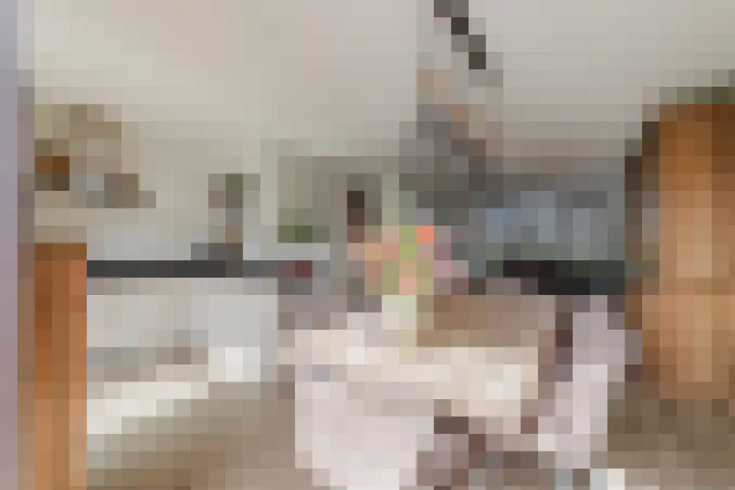 Spitter 16 Zundert thumbnail 17