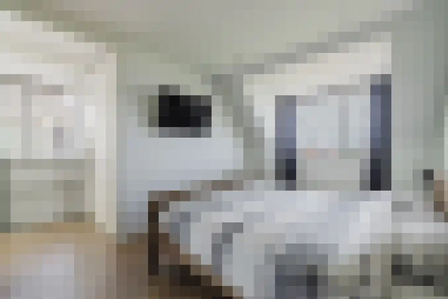 Spitter 16 Zundert thumbnail 31