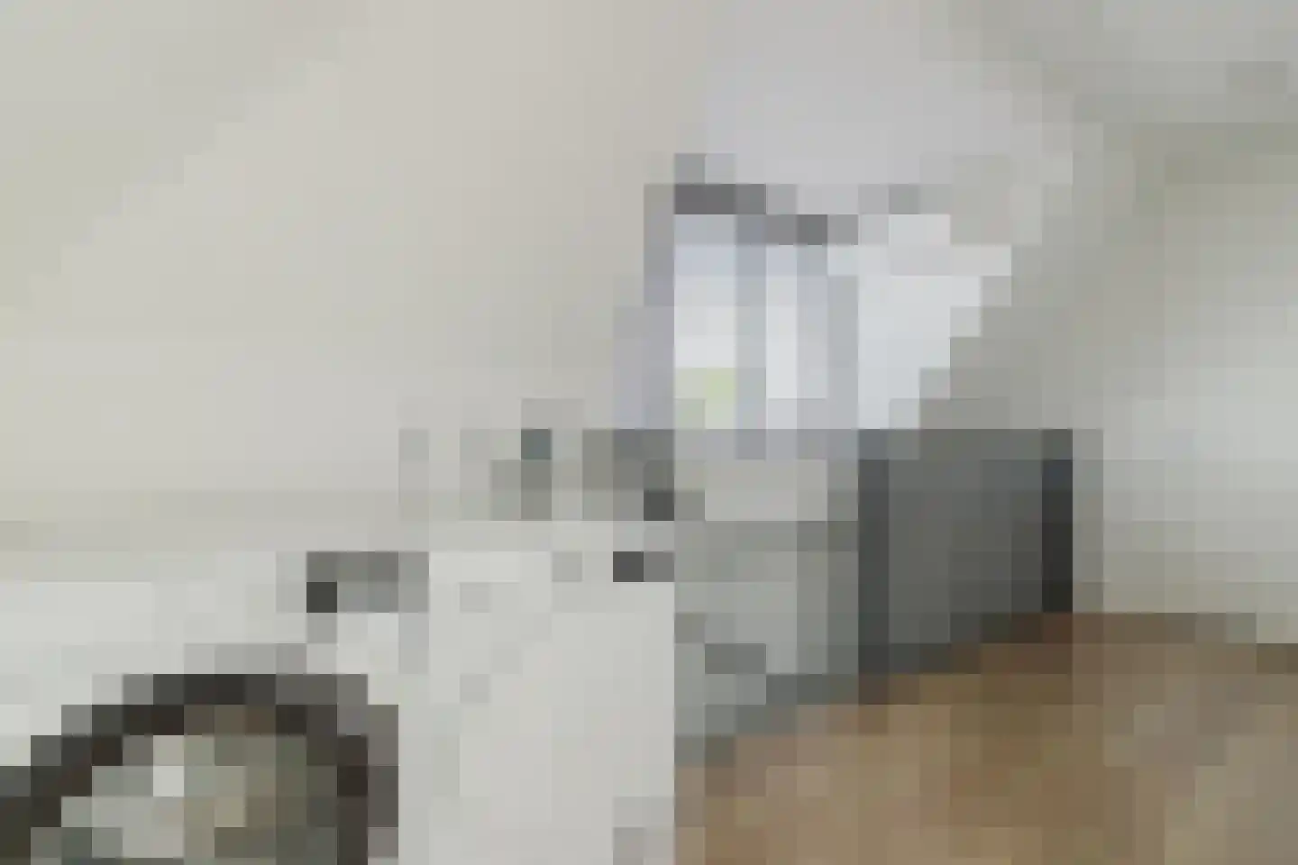 Spitter 16 Zundert thumbnail 32