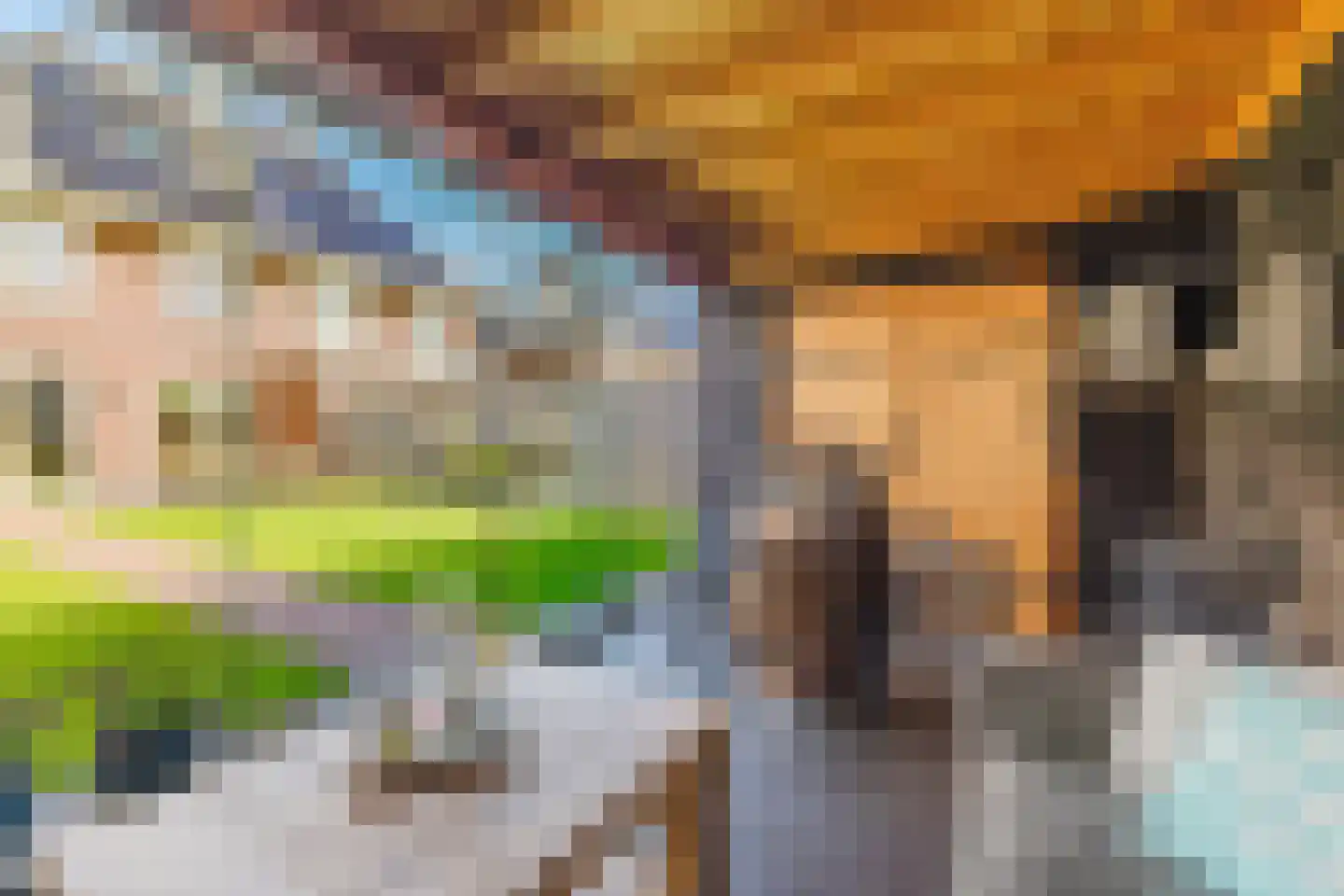 Spitter 16 Zundert thumbnail 37