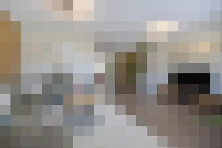 Spitter 38 Zundert thumbnail 10
