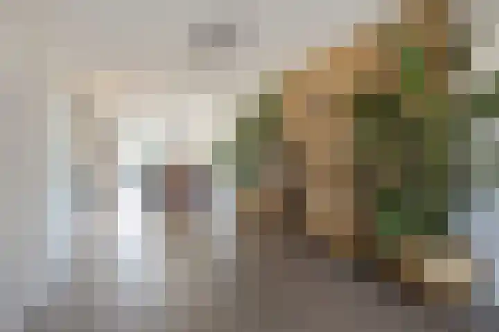 Spitter 38 Zundert thumbnail 12