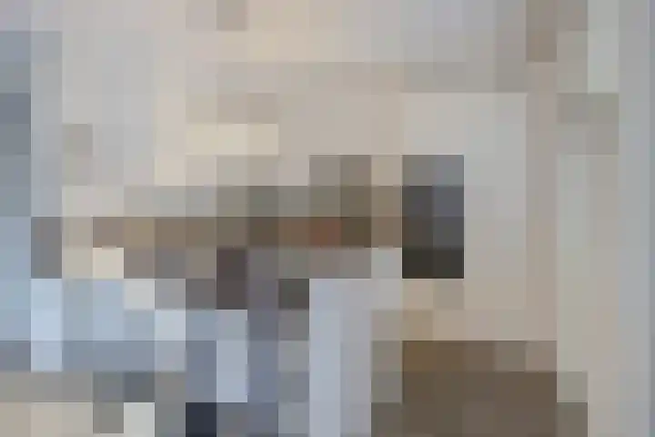 Spitter 38 Zundert thumbnail 17