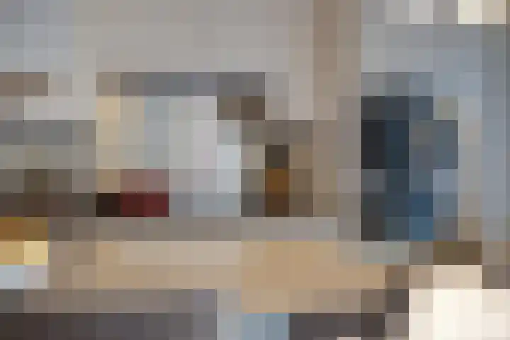 Spitter 38 Zundert thumbnail 19