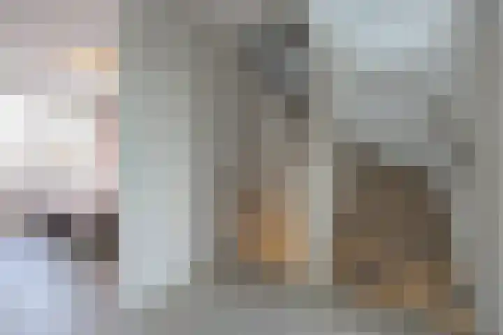 Spitter 38 Zundert thumbnail 23