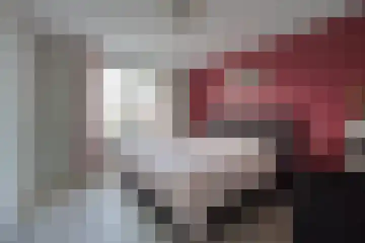 Spitter 38 Zundert thumbnail 25