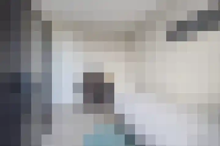 Spitter 38 Zundert thumbnail 29