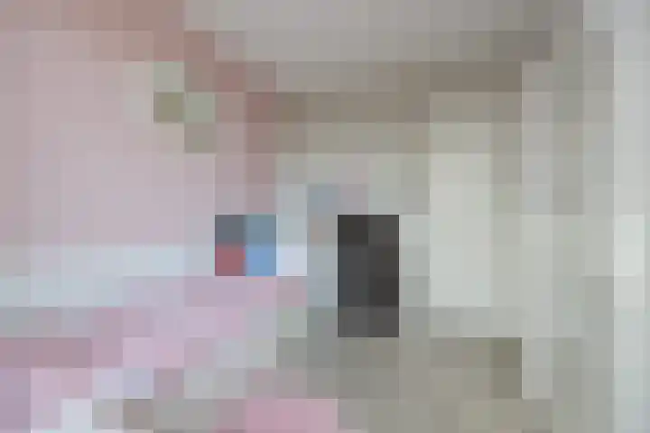 Spitter 38 Zundert thumbnail 31